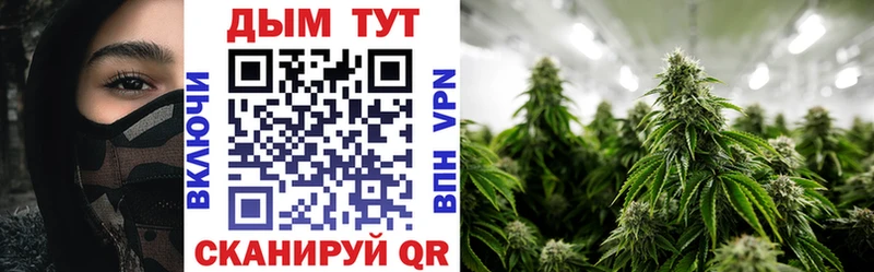 Купить закладки  Евпатория  Шишки марихуана LSD WEED 